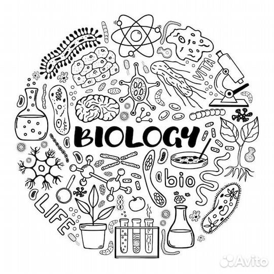 Репетитор по биологии