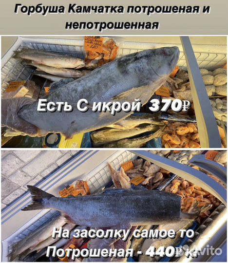 От мойвы до сёмги свежая рыба