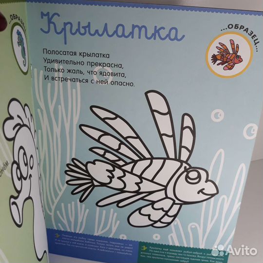 Раскраска кто живет в море