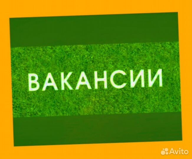 Наборщик заказов Без опыта Еженедельные выплаты
