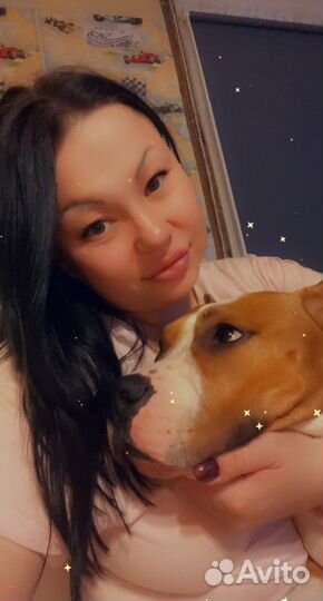 Передержка для собак