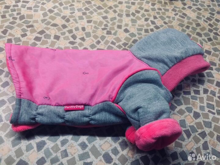 Одежда для собак, чихуахуа