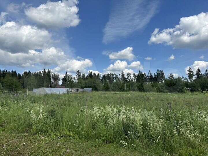 Участок 8 сот. (СНТ, ДНП)