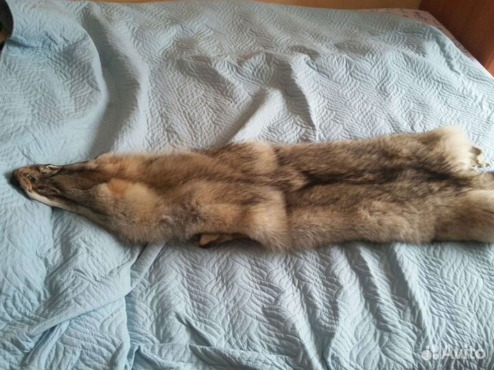 Шкура волка