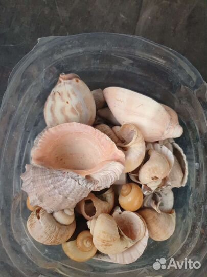 Украшение для аквариума, гроты