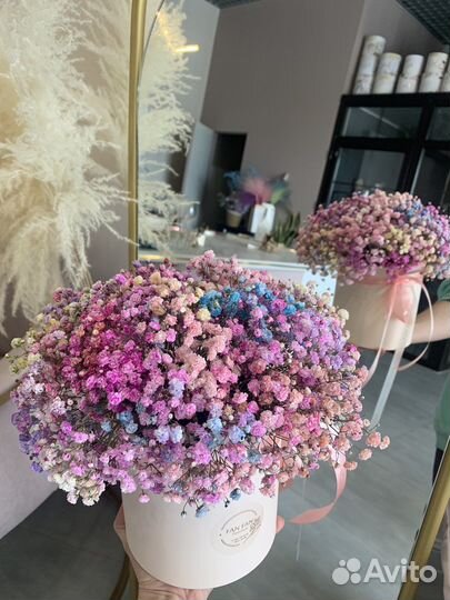 Радужная гипсофила в коробке сухоцветы