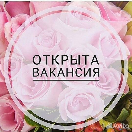 Продавец Консультант ТЦ Тройка