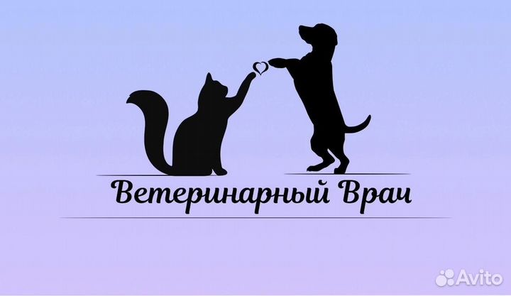 Ветеринарный врач выезд на дом