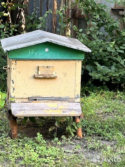 Продаются ульи
