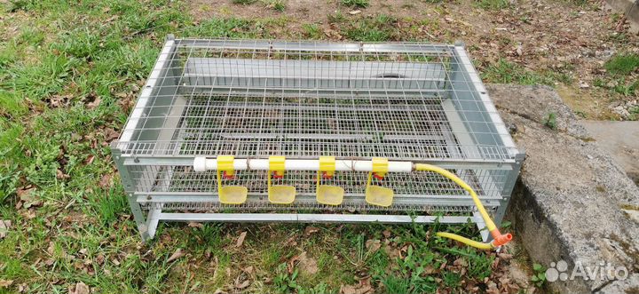Клетка для перепелок