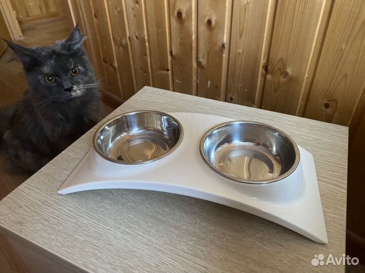 Миска для кошек