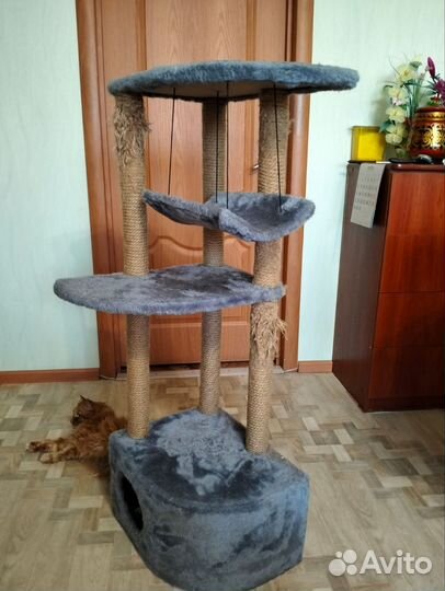 Когтеточка