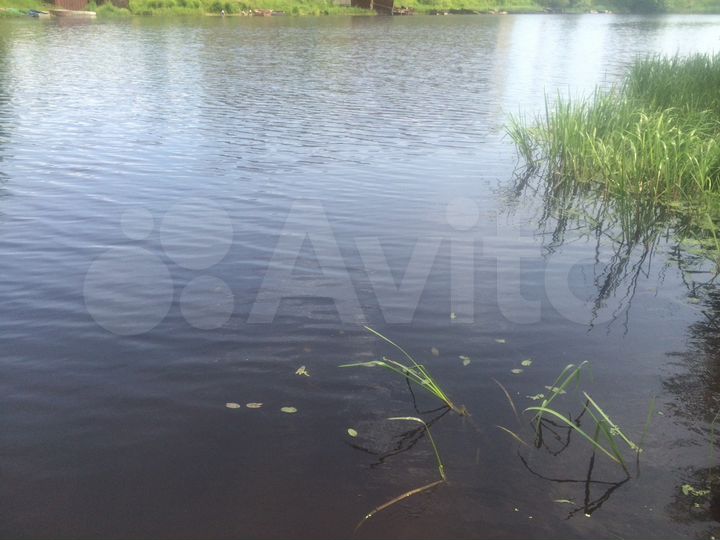 Дом 50 м² на участке 12 сот.