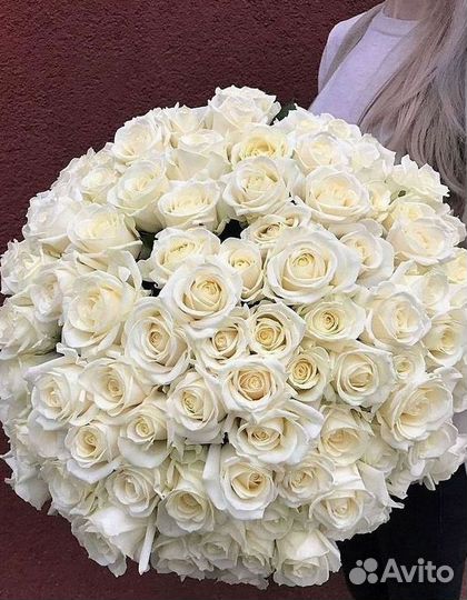 Высокие розы Доставка цветов