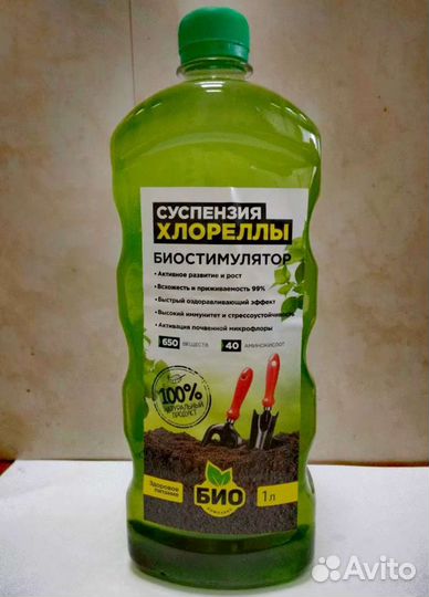 Живая хлорелла. Хлорелла для растений. Суспензия
