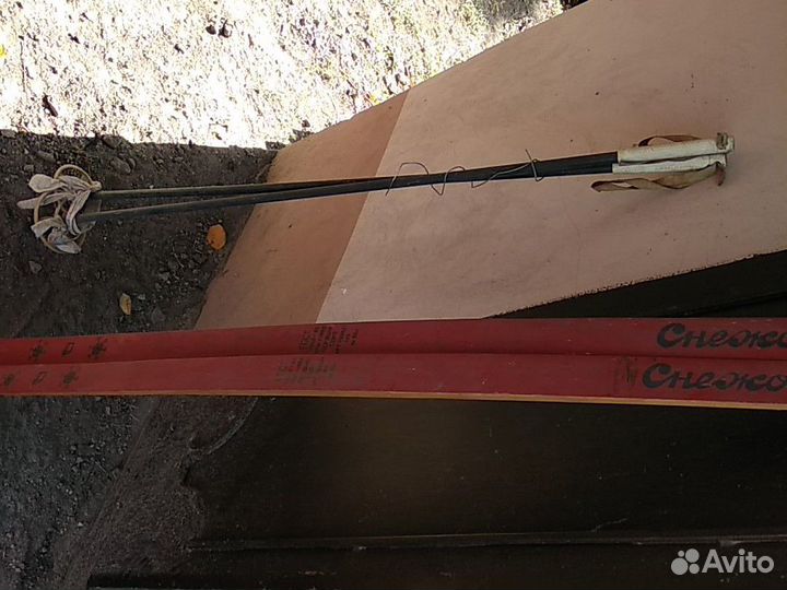 Беговые лыжи