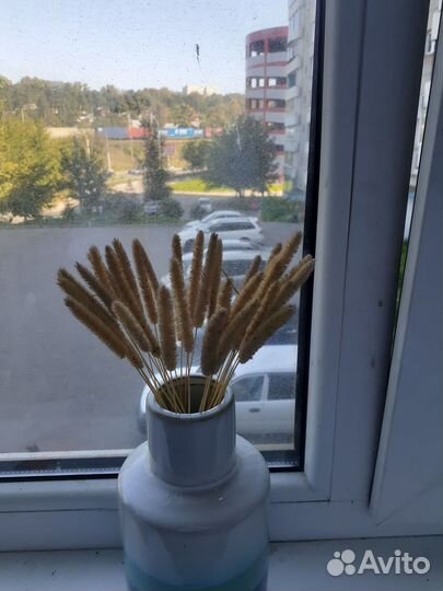 Сухоцвет 3 букета