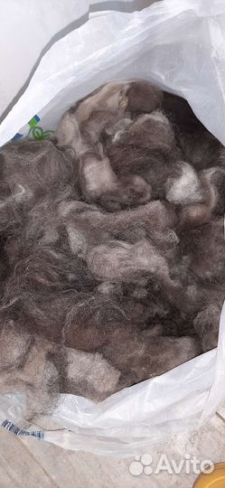 Пух / Шерсть вычесанный собачий