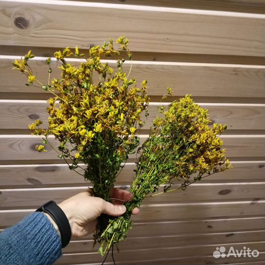 Зверобой сушёный в пучках сбор 2023