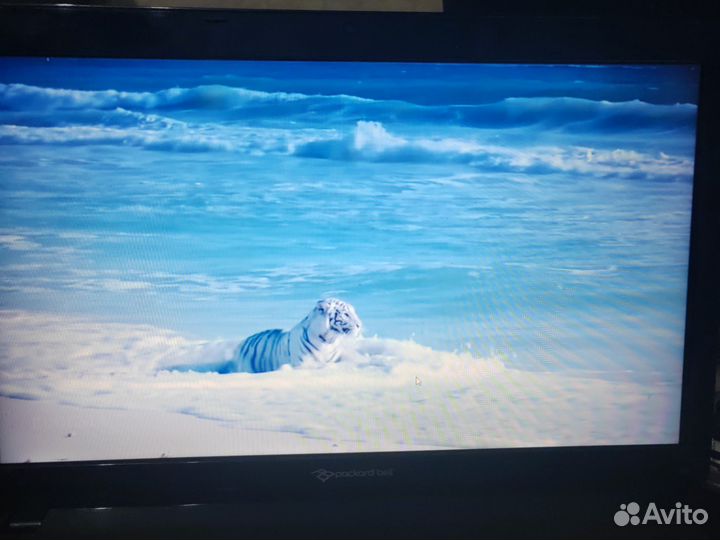 Ноутбук packard bell