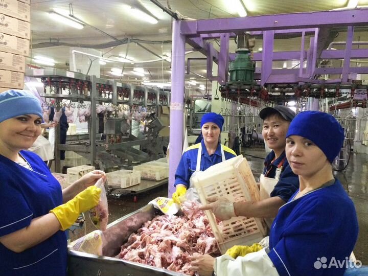 Упаковщик вахта ставропольский край с питанием