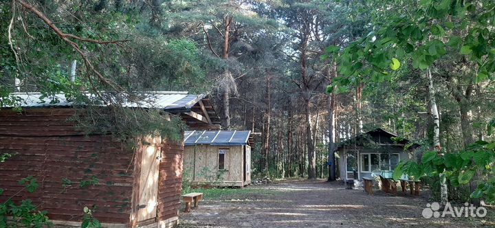 Отдых на острове в Чебоксарах. Отдых на Волге