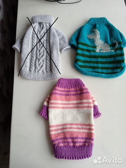 Одежда для собак и кошек