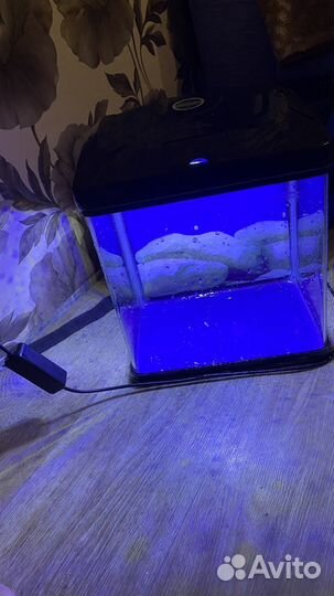 Аквариум для рыбок маленький