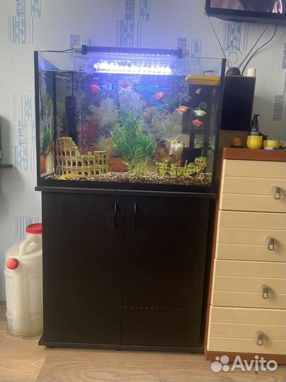 Аквариум