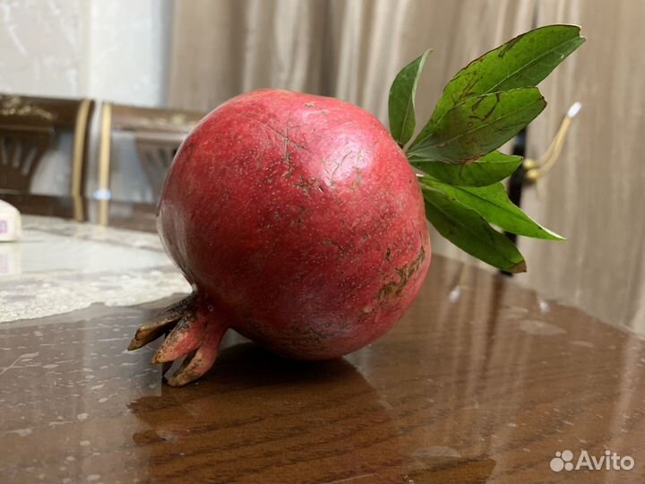 Саженцы граната