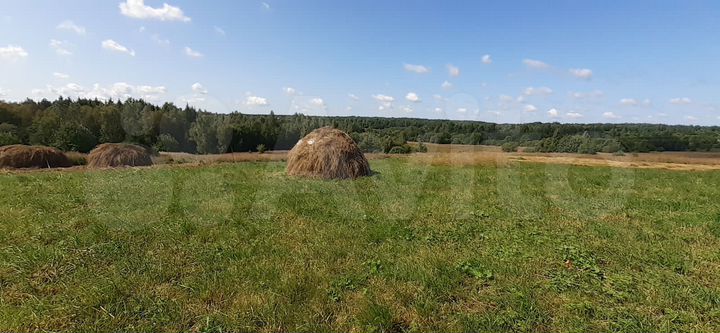 Участок 6,02 га (СНТ, ДНП)