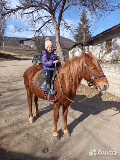 Конные прогулки, Квадропрокат,Пешие экскурсии