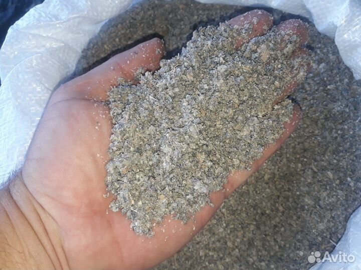 Ракушка кормовая