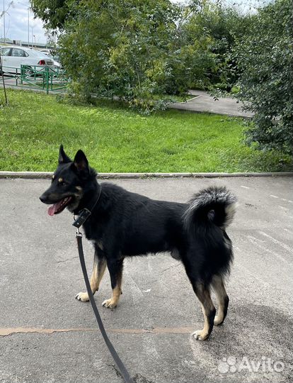 Беззащитный, трепетный мальчик попал в приют