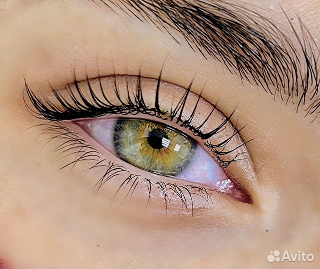 Брови / ламинирование ресниц / макияж