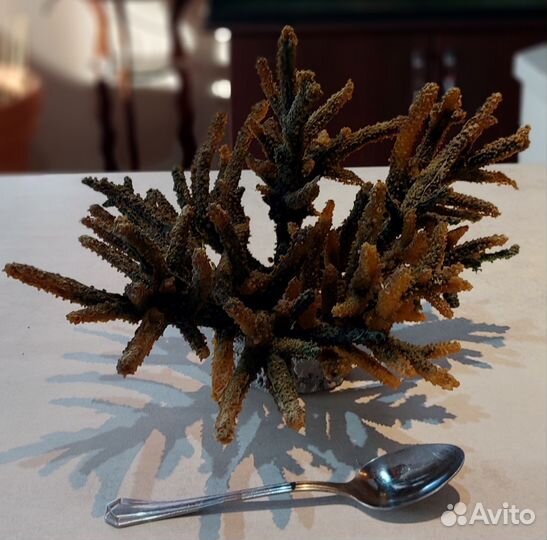 Камни-ракушечник,гроты,коралл для аквариума