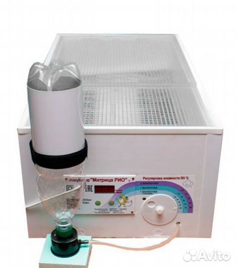 Матрица рио на 90 яиц