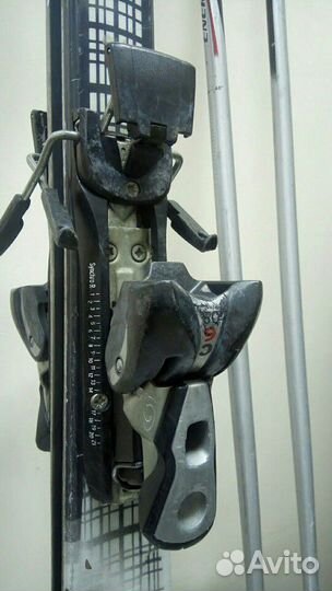 Горные лыжи Fischer RC4 worldcup SC