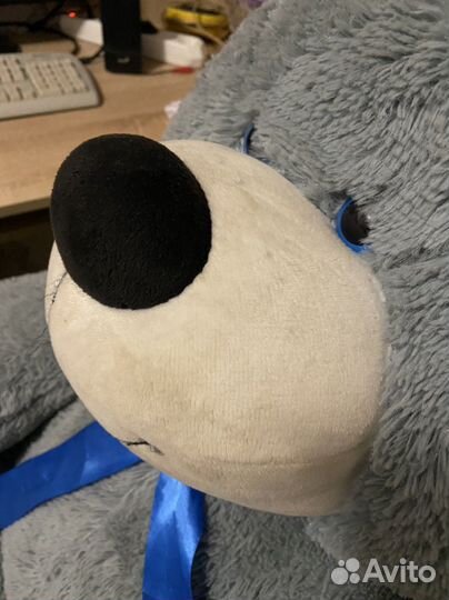 Плюшевый медведь