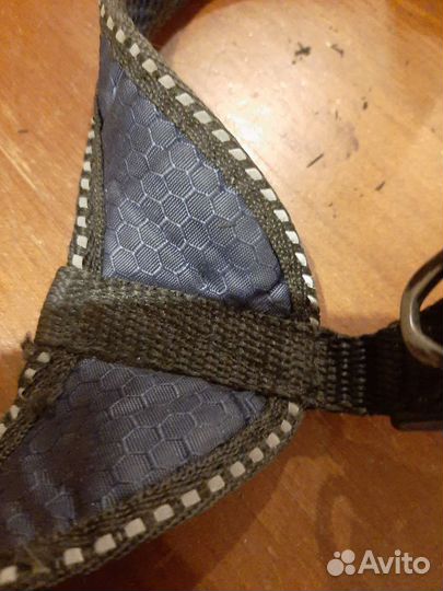 Шлейка для собаки