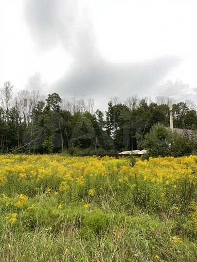 Участок 20 сот. (ИЖС)