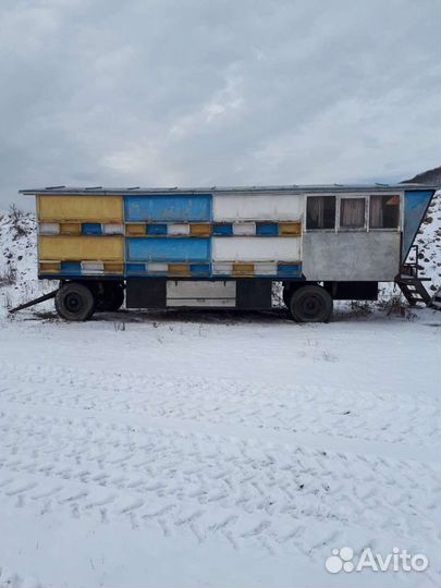 Пчело павильон