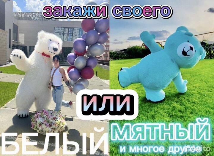 Поздравление Белого и Мятного Медведя