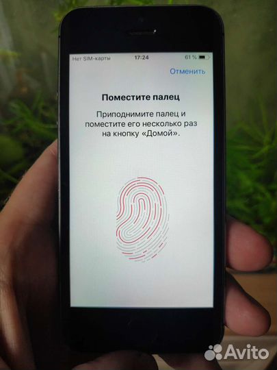 Телефон iPhone 5s
