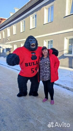 Поздравления от Кин Конга