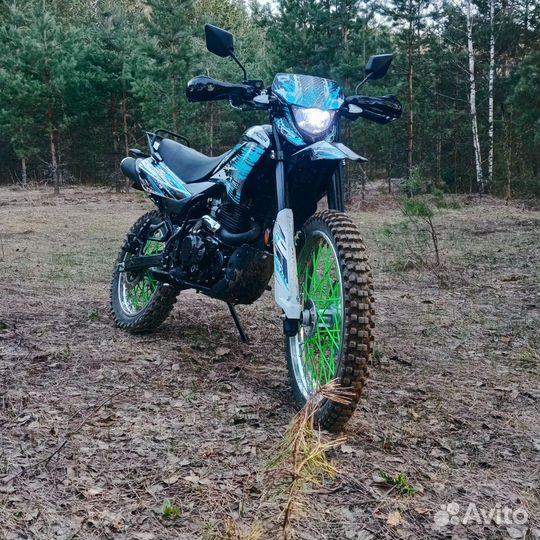 Racer Panther 300