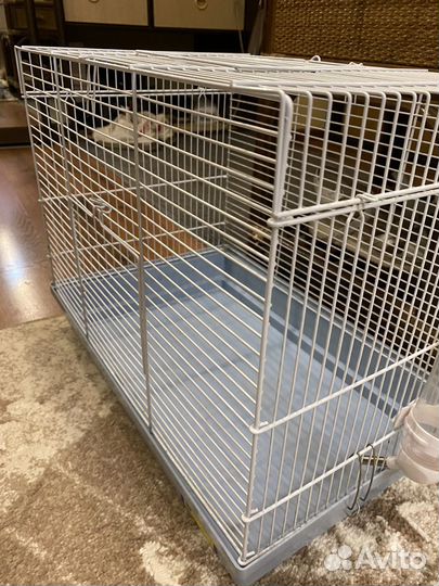 Клетка для грызунов