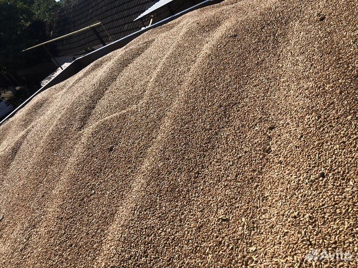 Зерно фуражное