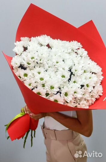 Цветы хризантемы доставка 24/7