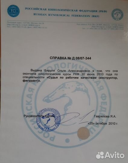 Дрессировка собак